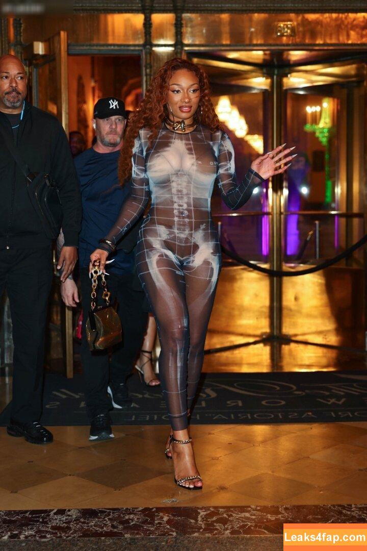 Megan thee stallion / megan_renee316 / theestallion leaked photo photo #0640