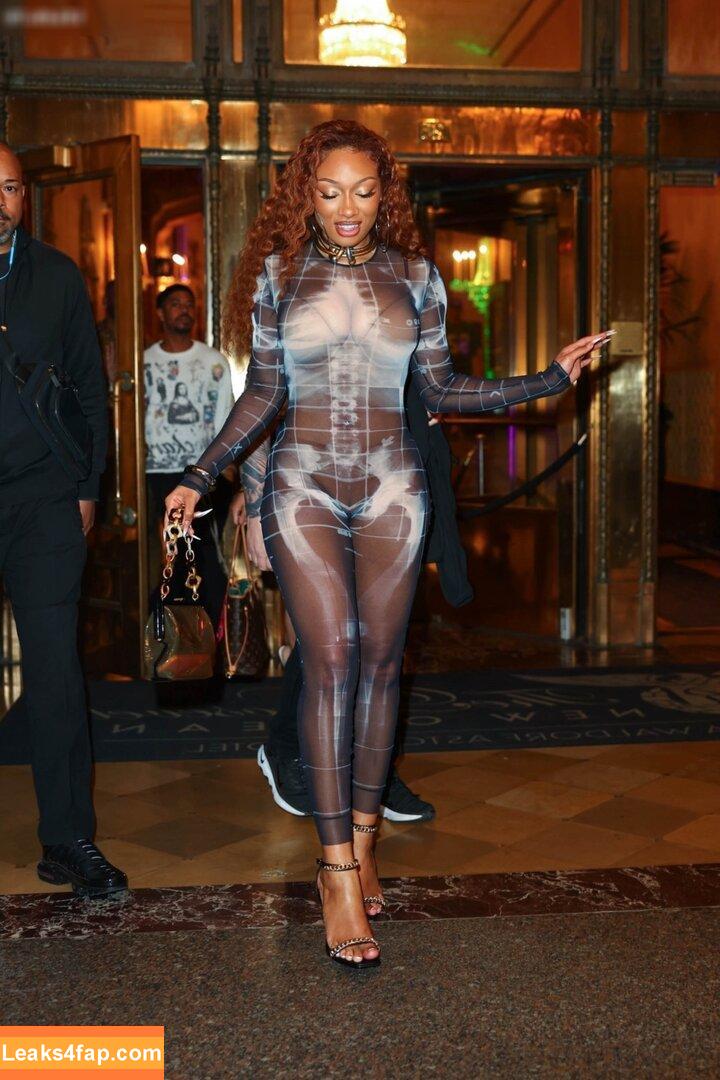 Megan thee stallion / megan_renee316 / theestallion leaked photo photo #0642