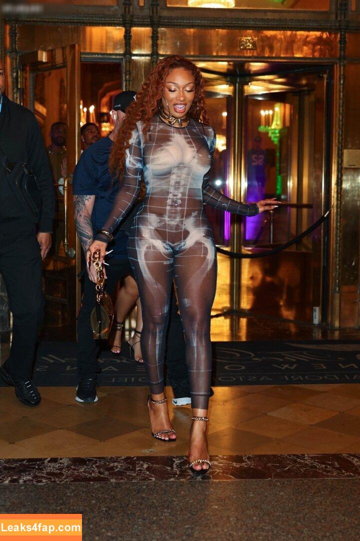 Megan thee stallion / megan_renee316 / theestallion leaked photo photo #0654