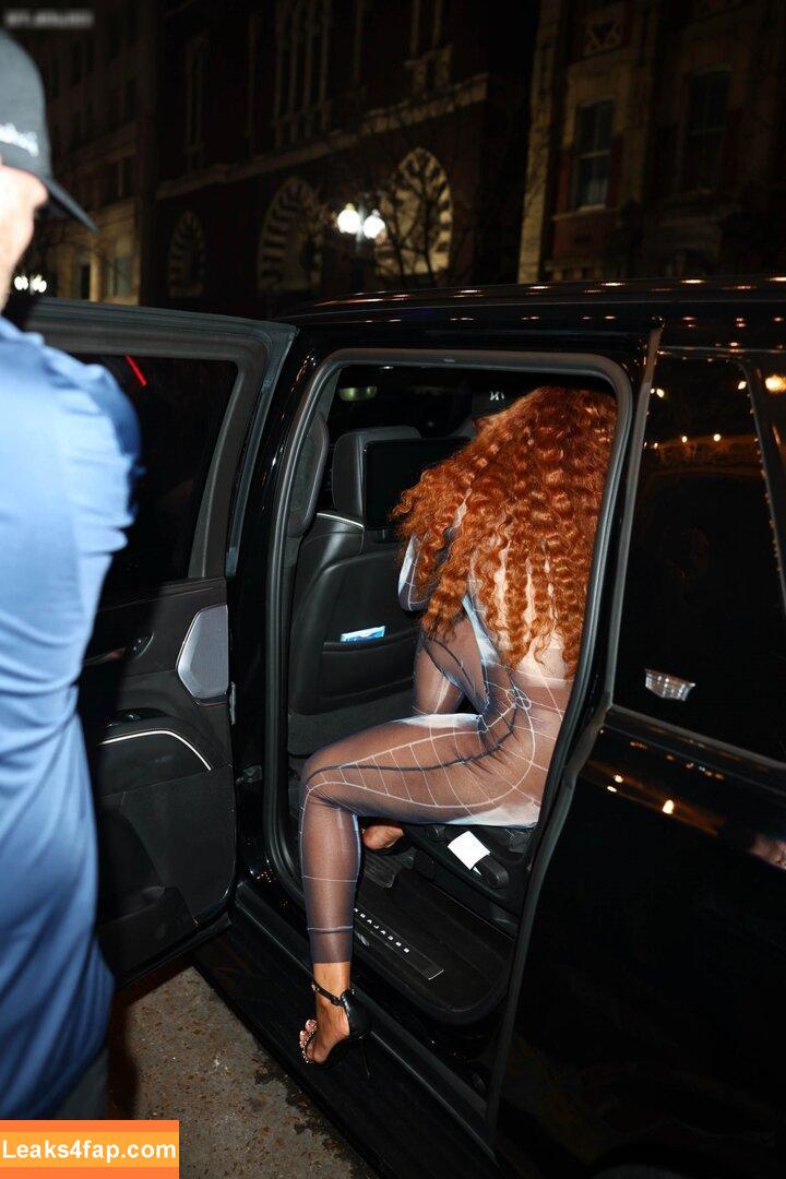 Megan thee stallion / megan_renee316 / theestallion leaked photo photo #0655