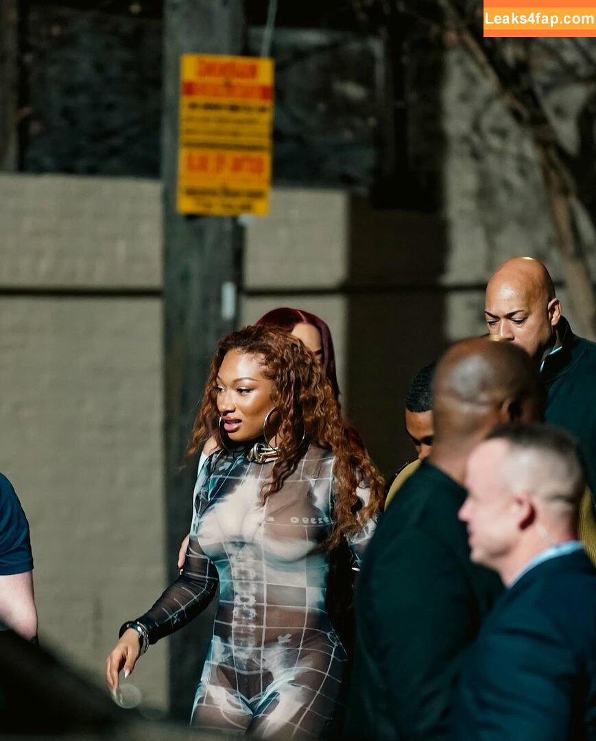 Megan thee stallion / megan_renee316 / theestallion leaked photo photo #0662