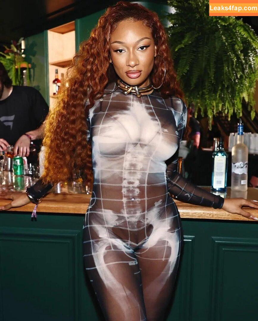 Megan thee stallion / megan_renee316 / theestallion leaked photo photo #0664