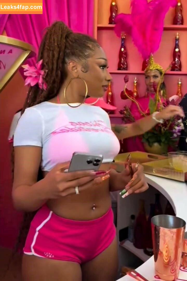 Megan thee stallion / megan_renee316 / theestallion слитое фото фото #0690
