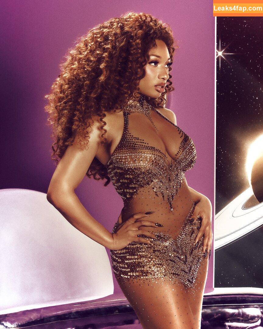 Megan thee stallion / megan_renee316 / theestallion слитое фото фото #0704
