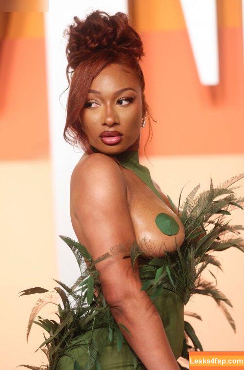 Megan thee stallion / megan_renee316 / theestallion слитое фото фото #0712