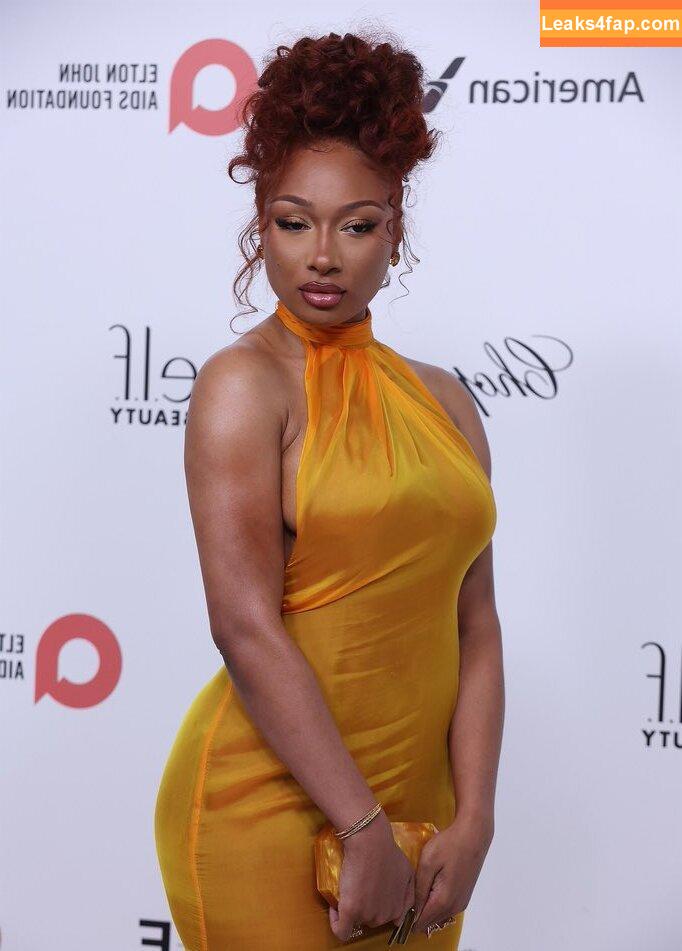Megan thee stallion / megan_renee316 / theestallion leaked photo photo #0718