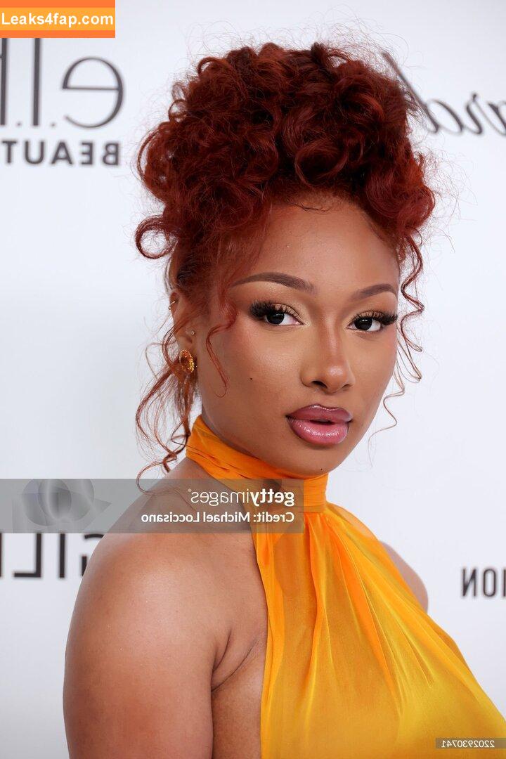 Megan thee stallion / megan_renee316 / theestallion leaked photo photo #0719
