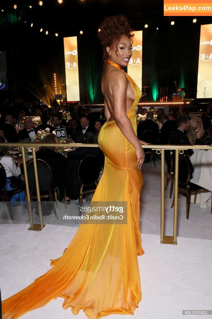 Megan thee stallion / megan_renee316 / theestallion leaked photo photo #0720