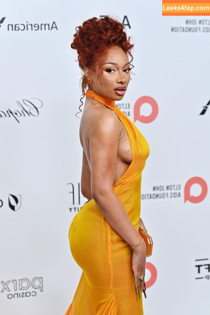 Megan thee stallion / megan_renee316 / theestallion leaked photo photo #0724
