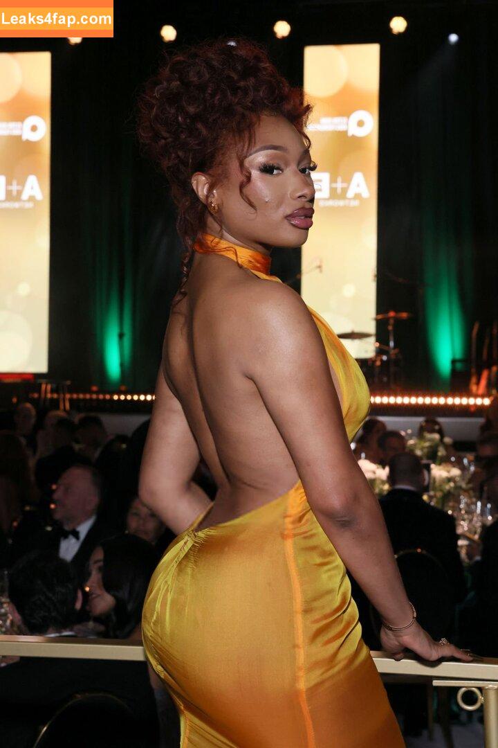 Megan thee stallion / megan_renee316 / theestallion leaked photo photo #0725
