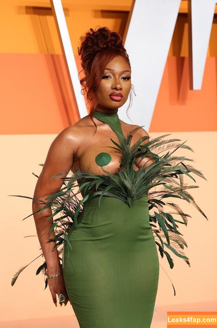 Megan thee stallion / megan_renee316 / theestallion leaked photo photo #0726