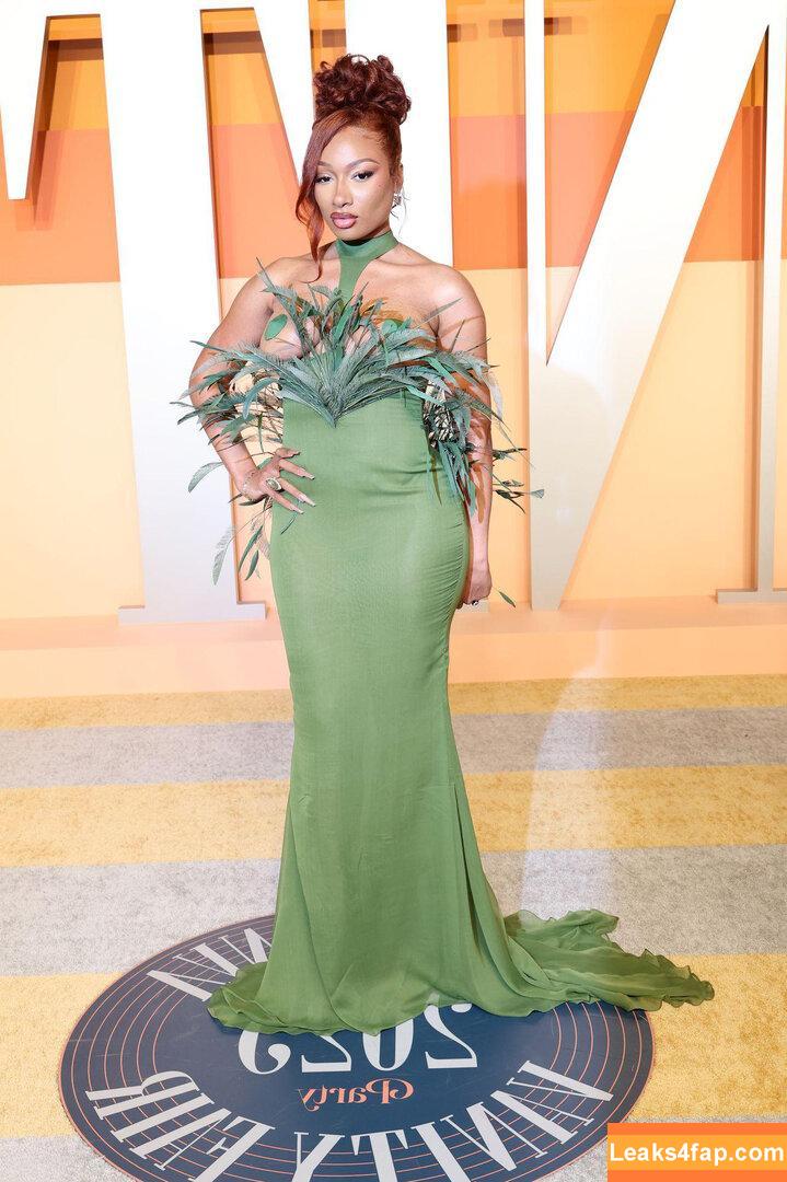 Megan thee stallion / megan_renee316 / theestallion leaked photo photo #0730
