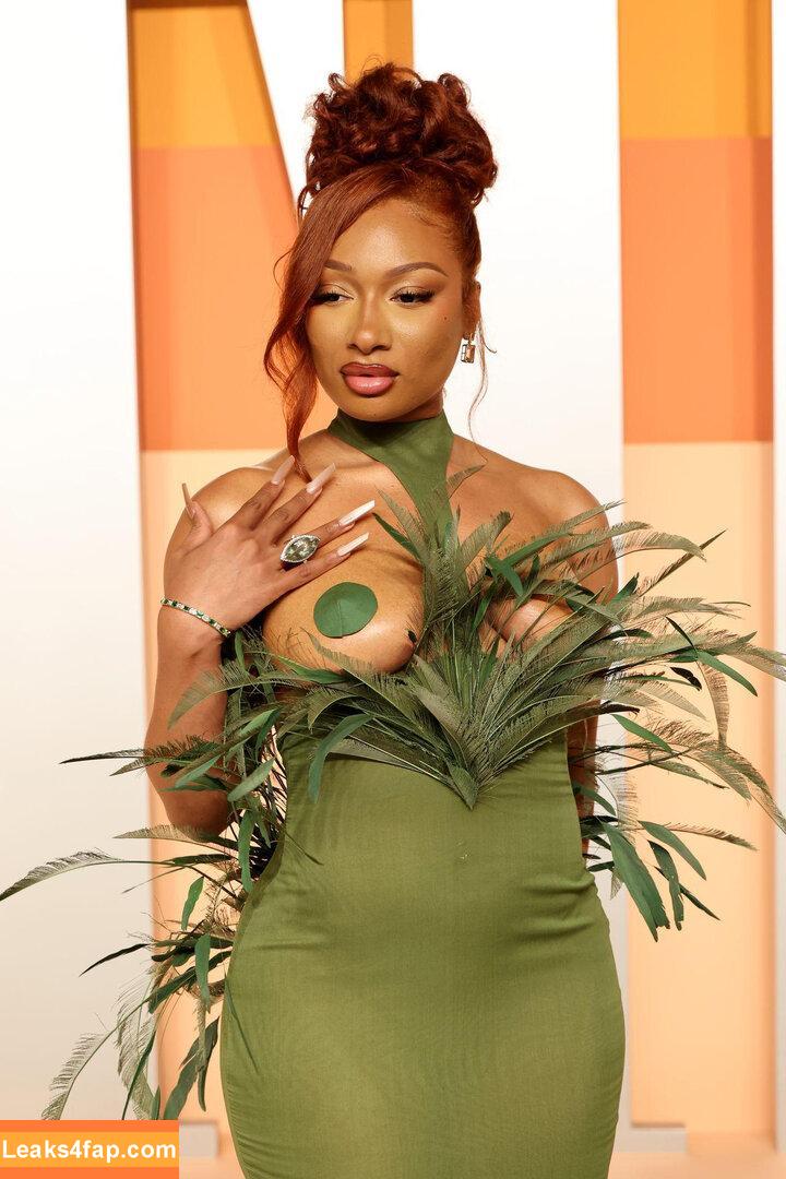 Megan thee stallion / megan_renee316 / theestallion leaked photo photo #0731