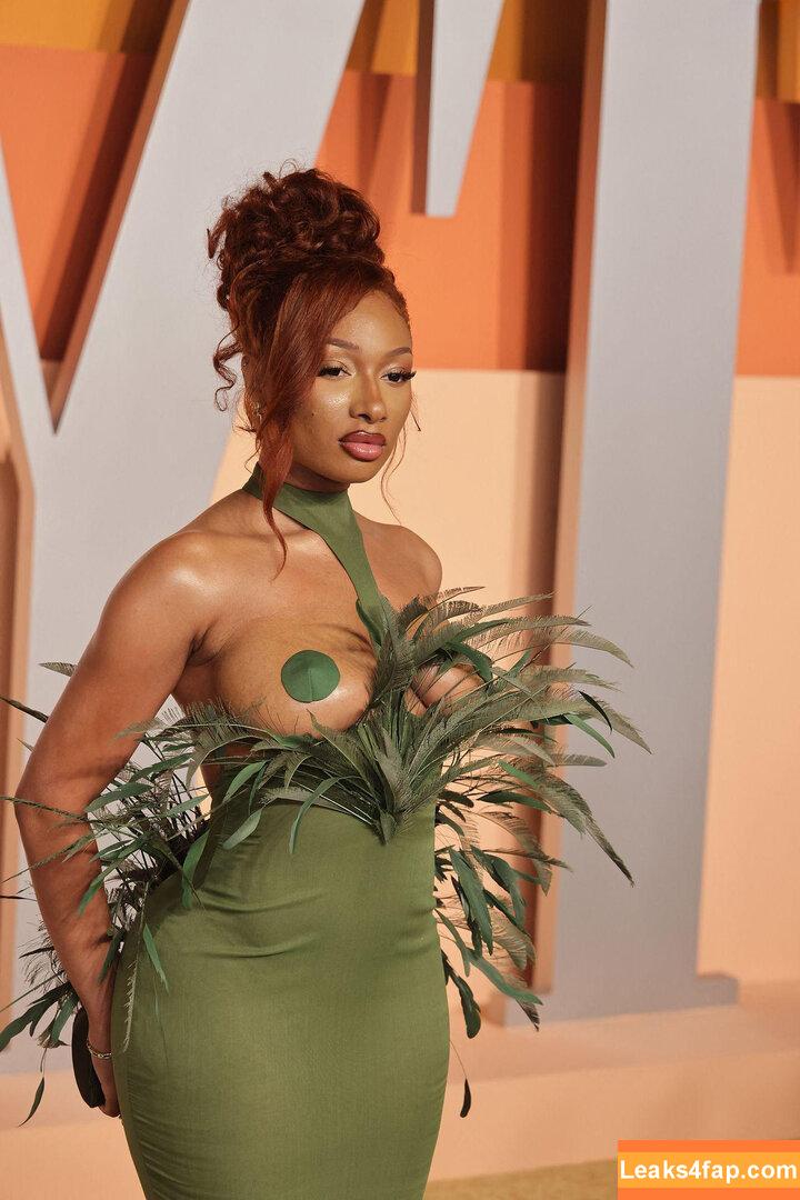 Megan thee stallion / megan_renee316 / theestallion leaked photo photo #0735