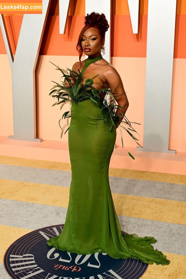 Megan thee stallion / megan_renee316 / theestallion leaked photo photo #0737