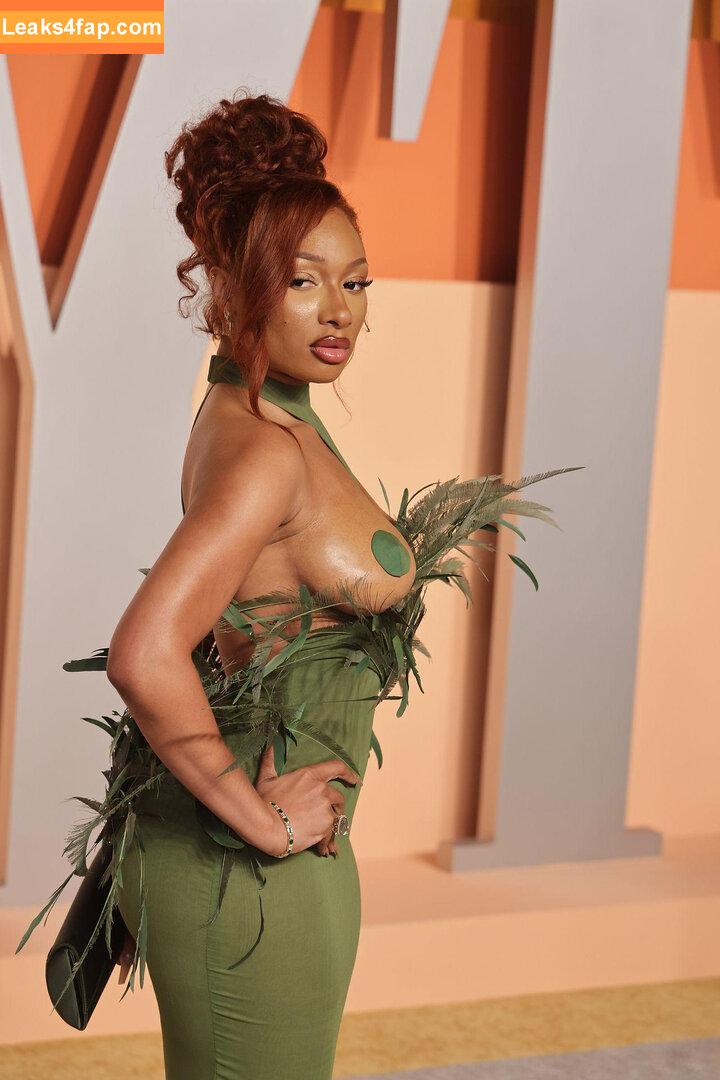 Megan thee stallion / megan_renee316 / theestallion leaked photo photo #0738