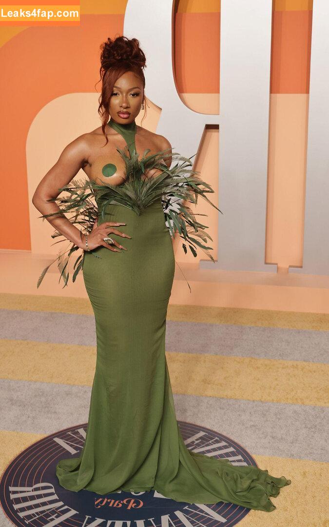 Megan thee stallion / megan_renee316 / theestallion leaked photo photo #0740