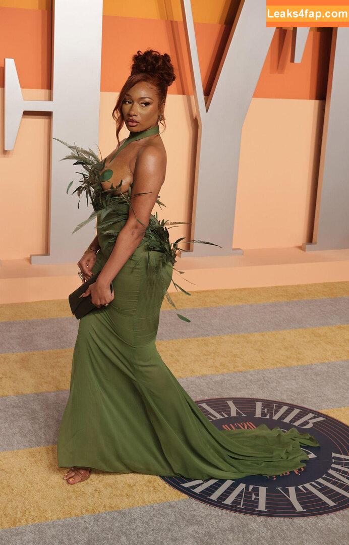 Megan thee stallion / megan_renee316 / theestallion leaked photo photo #0741