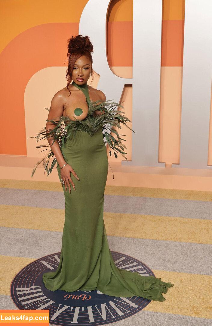Megan thee stallion / megan_renee316 / theestallion leaked photo photo #0744
