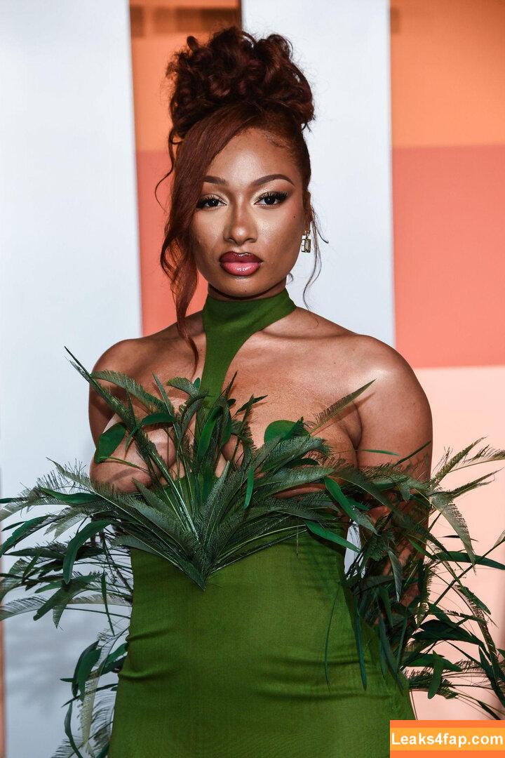 Megan thee stallion / megan_renee316 / theestallion leaked photo photo #0752