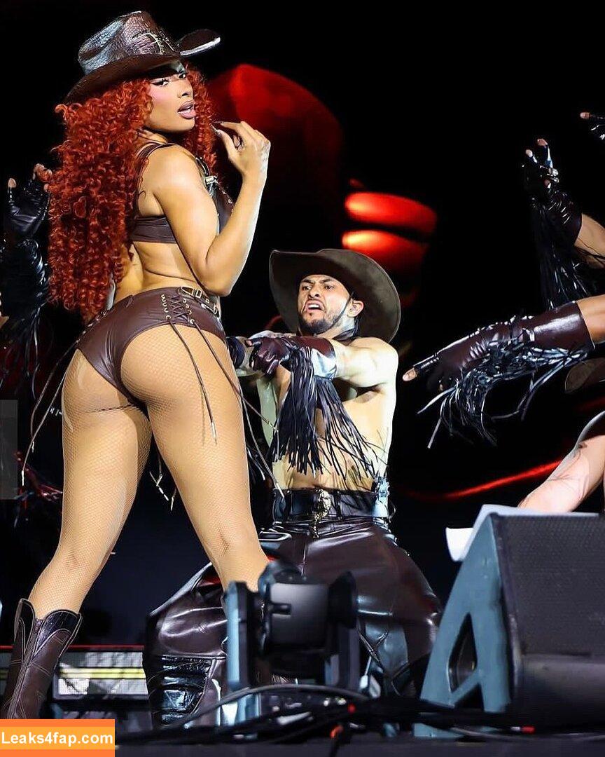 Megan thee stallion / megan_renee316 / theestallion leaked photo photo #0789