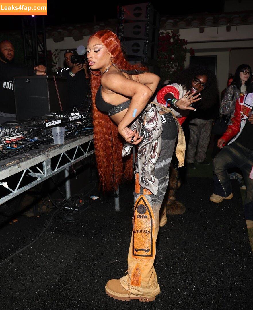Megan thee stallion / megan_renee316 / theestallion leaked photo photo #0800