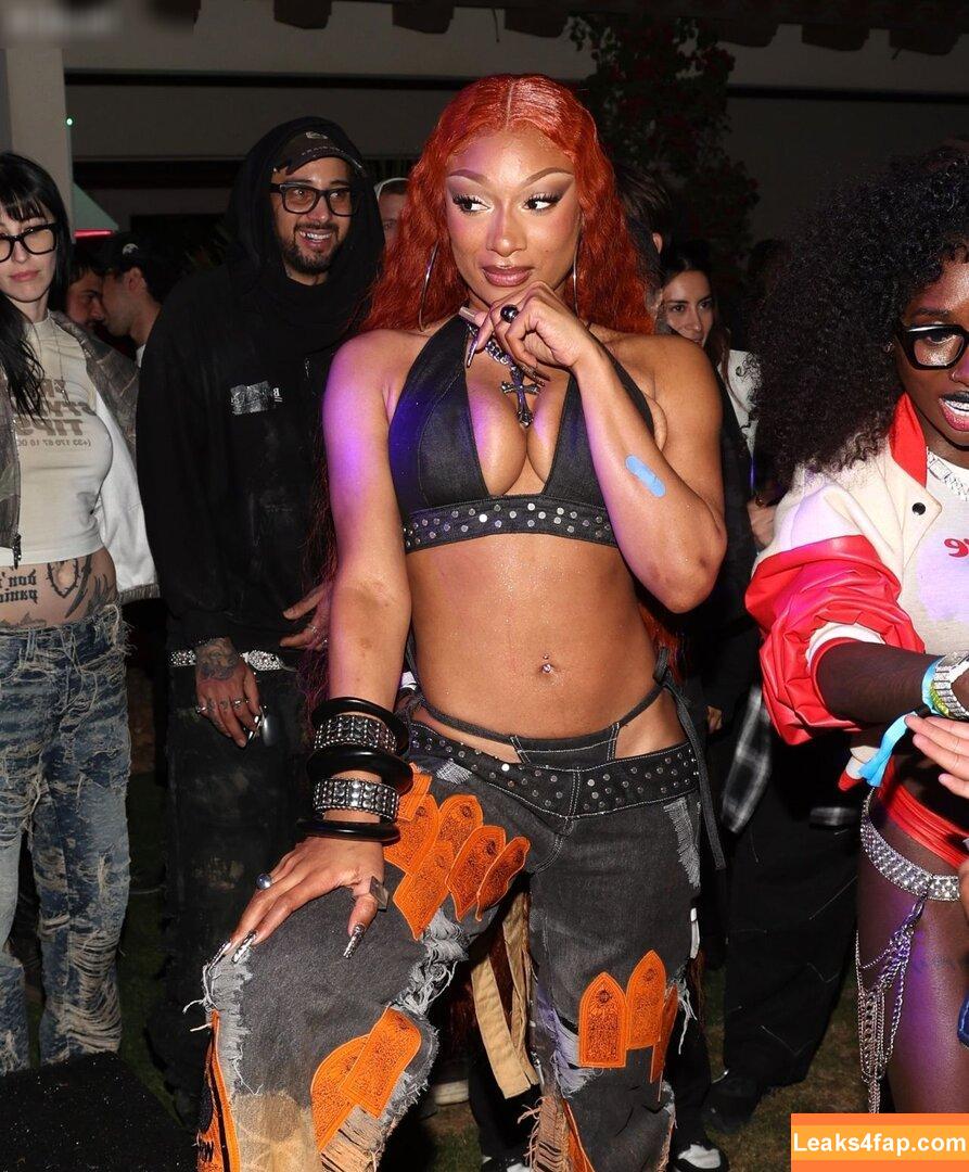 Megan thee stallion / megan_renee316 / theestallion leaked photo photo #0802