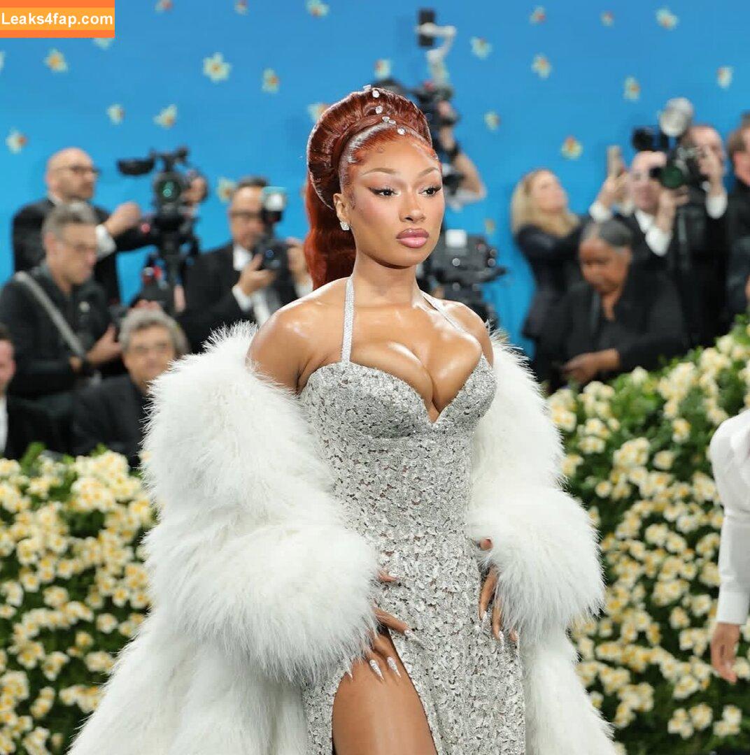 Megan thee stallion / megan_renee316 / theestallion слитое фото фото #0803