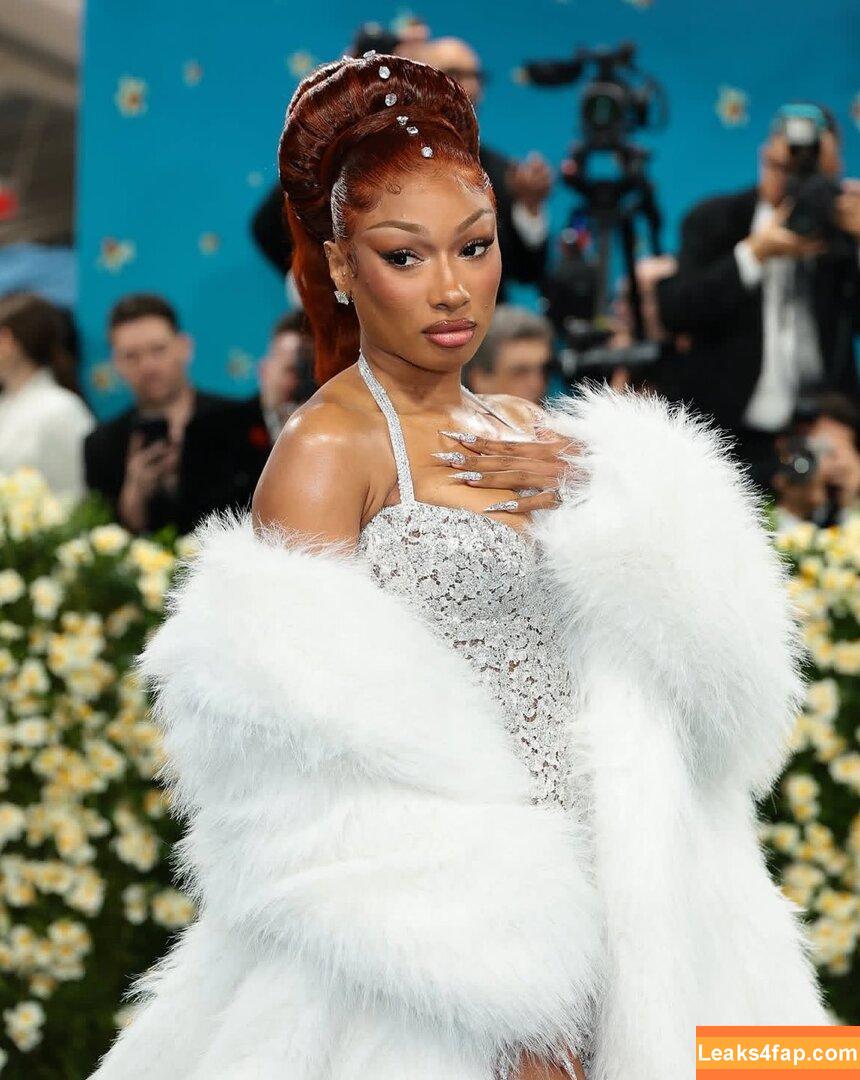 Megan thee stallion / megan_renee316 / theestallion слитое фото фото #0804