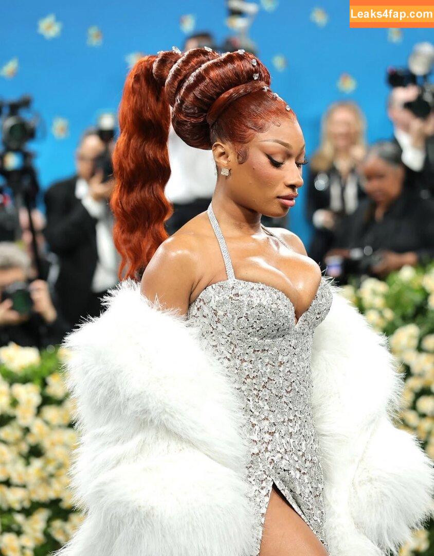 Megan thee stallion / megan_renee316 / theestallion слитое фото фото #0805