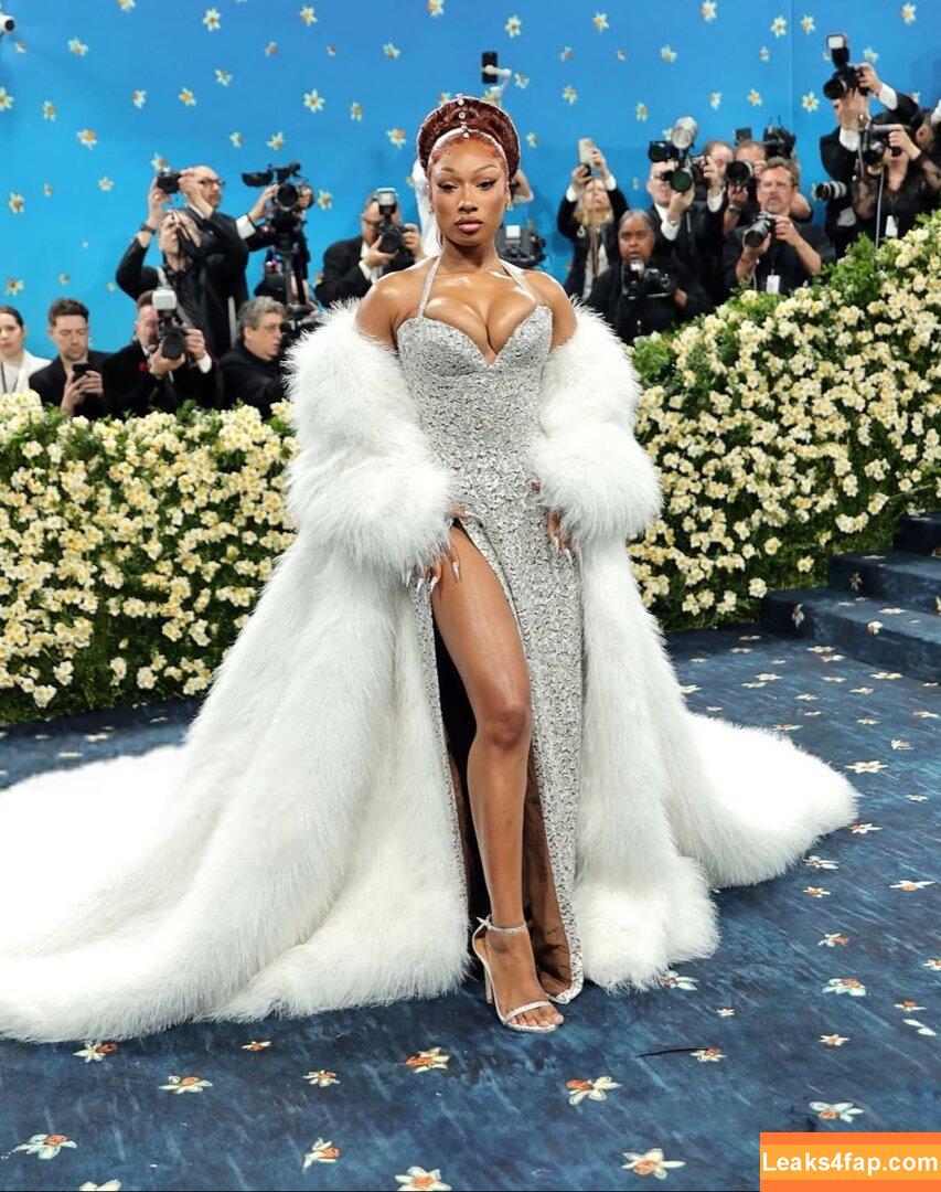 Megan thee stallion / megan_renee316 / theestallion слитое фото фото #0806