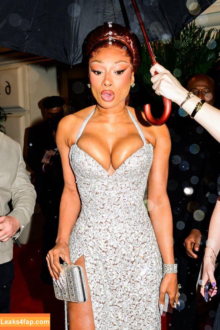 Megan thee stallion / megan_renee316 / theestallion слитое фото фото #0812