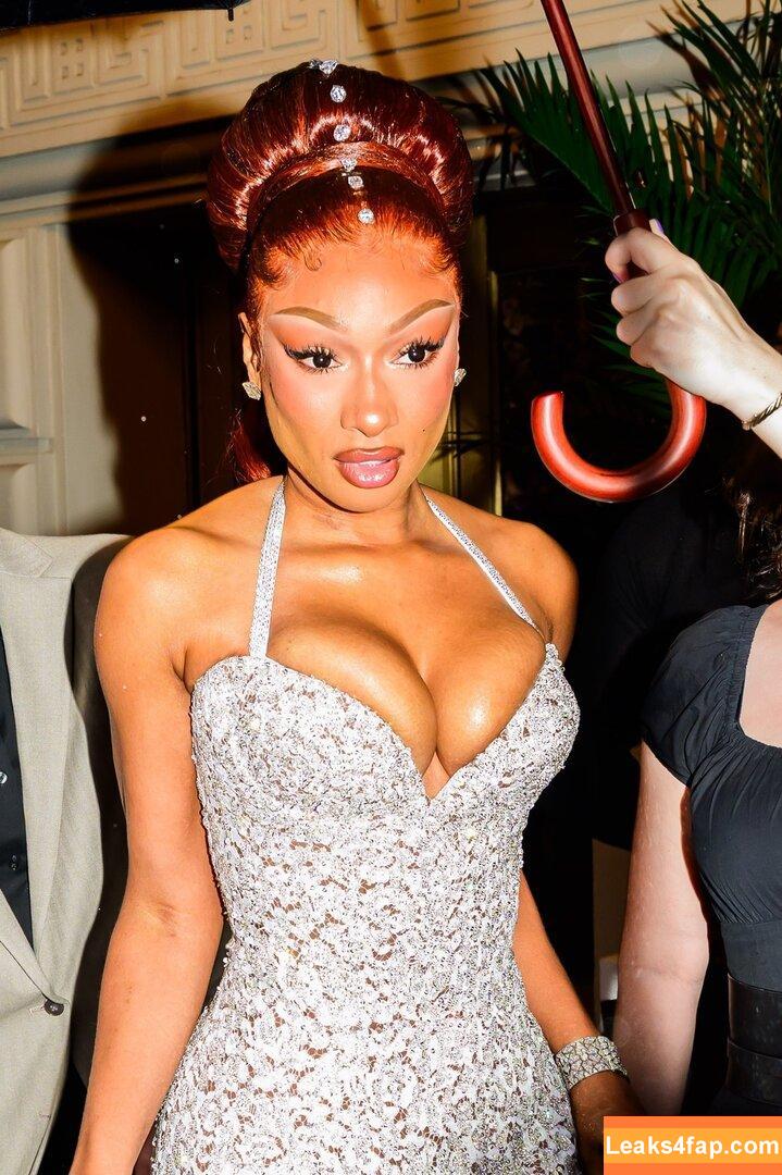 Megan thee stallion / megan_renee316 / theestallion слитое фото фото #0815