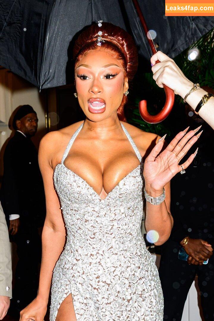 Megan thee stallion / megan_renee316 / theestallion слитое фото фото #0818
