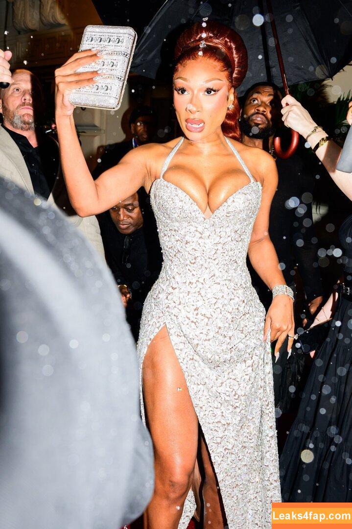 Megan thee stallion / megan_renee316 / theestallion слитое фото фото #0820