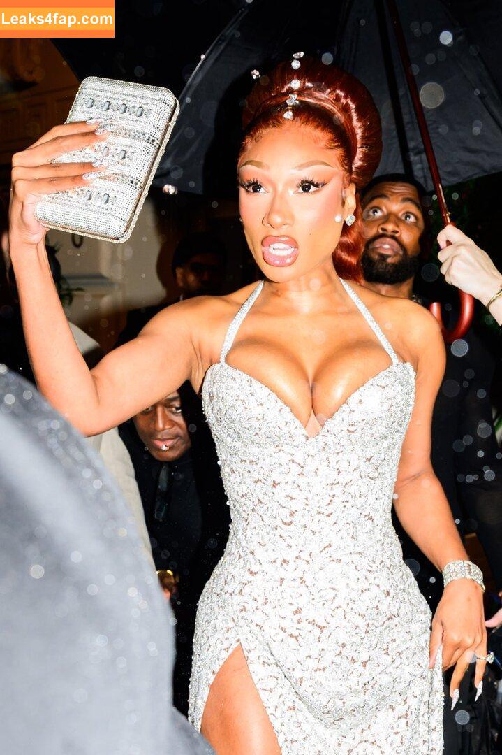 Megan thee stallion / megan_renee316 / theestallion слитое фото фото #0821