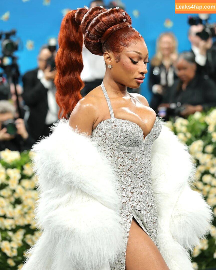 Megan thee stallion / megan_renee316 / theestallion leaked photo photo #0823