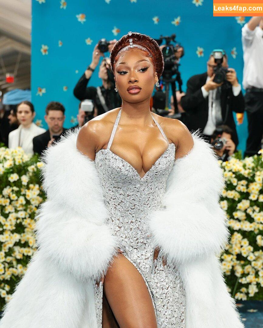Megan thee stallion / megan_renee316 / theestallion leaked photo photo #0824