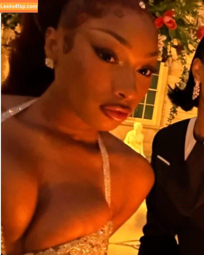 Megan thee stallion / megan_renee316 / theestallion leaked photo photo #0825