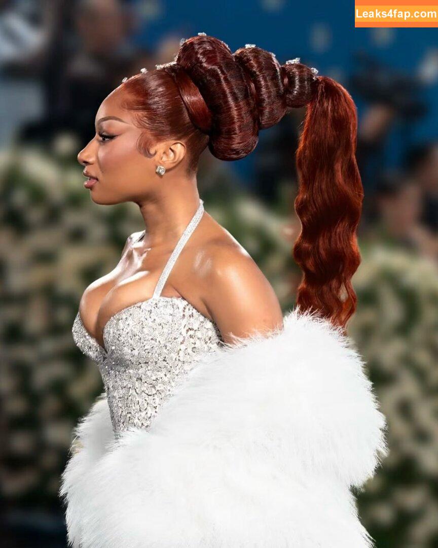 Megan thee stallion / megan_renee316 / theestallion слитое фото фото #0835