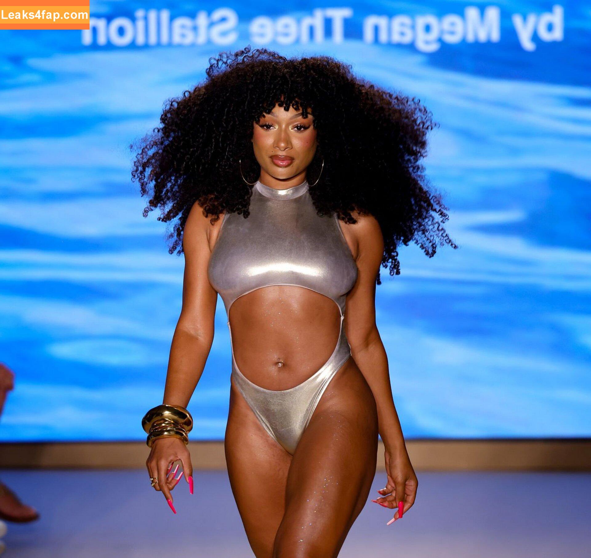 Megan thee stallion / megan_renee316 / theestallion leaked photo photo #0848