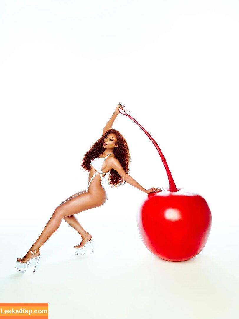 Megan thee stallion / megan_renee316 / theestallion слитое фото фото #0861