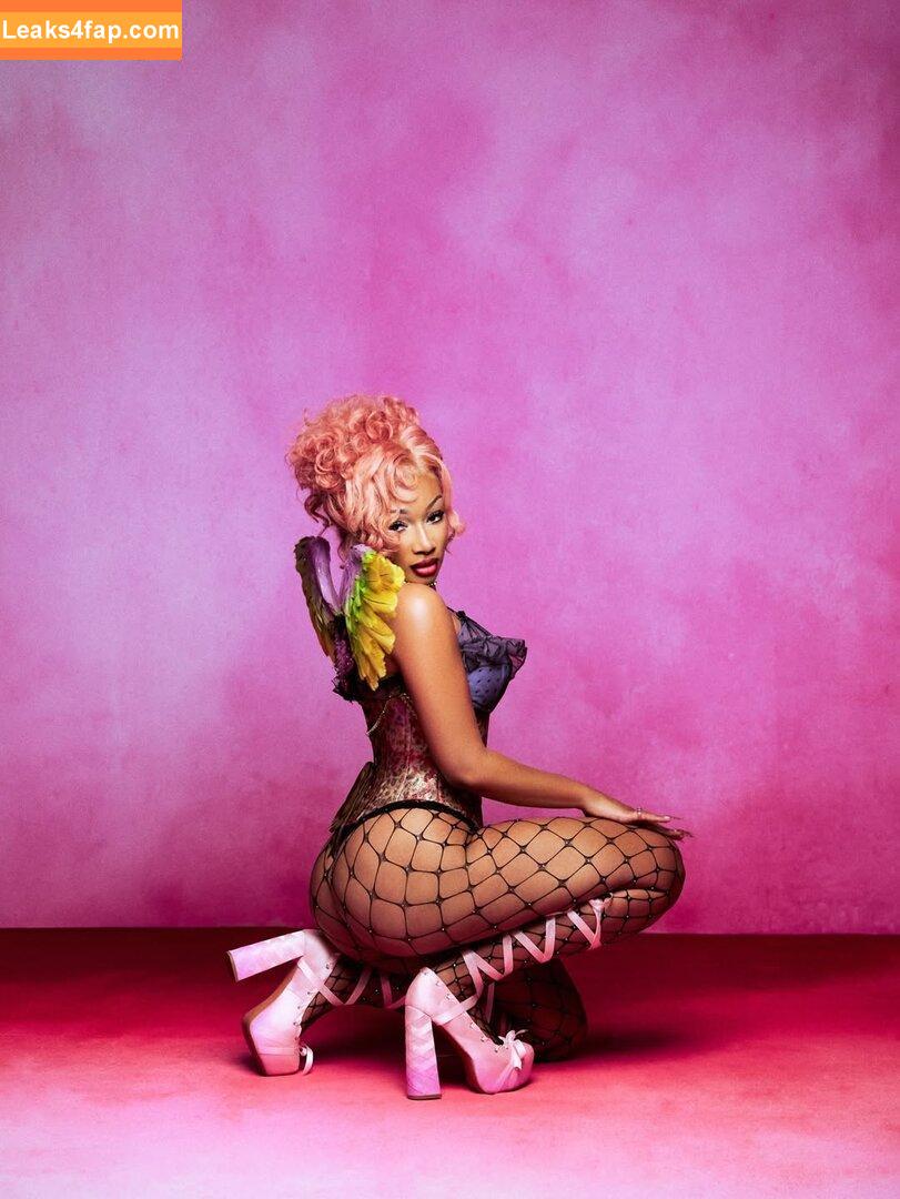 Megan thee stallion / megan_renee316 / theestallion слитое фото фото #0881