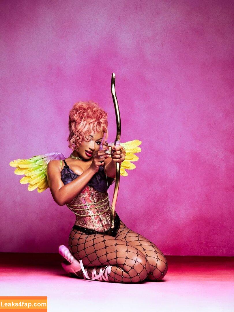 Megan thee stallion / megan_renee316 / theestallion слитое фото фото #0884