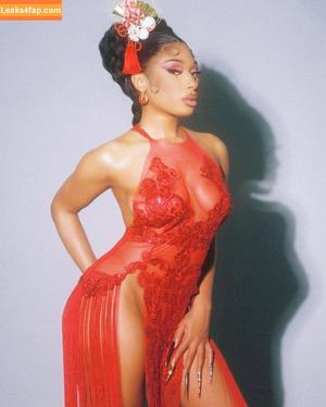 Megan thee stallion photo #0012