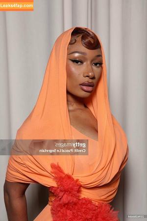 Megan thee stallion photo #0593