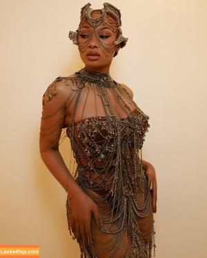 Megan thee stallion photo #0608