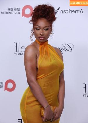 Megan thee stallion photo #0718
