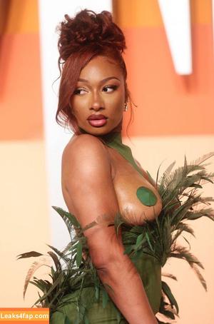 Megan thee stallion photo #0727