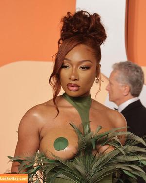 Megan thee stallion photo #0743